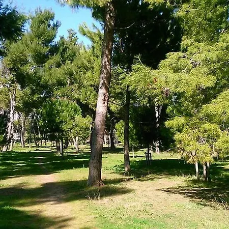 Adda Seaside * Montesilvano Marina